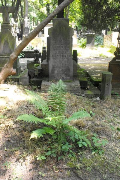 Zdjęcie grobu: Staś Caderski
