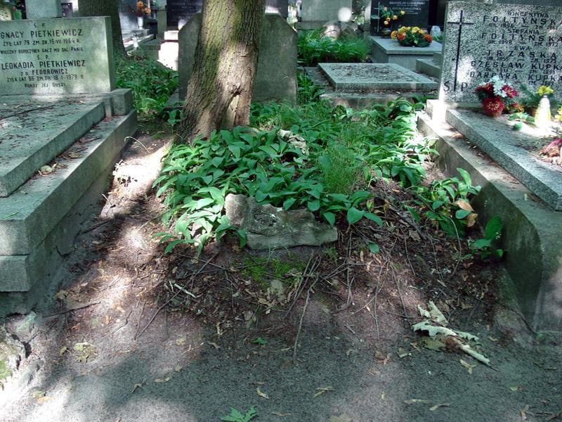 Zdjęcie grobu: Pole Grobowe