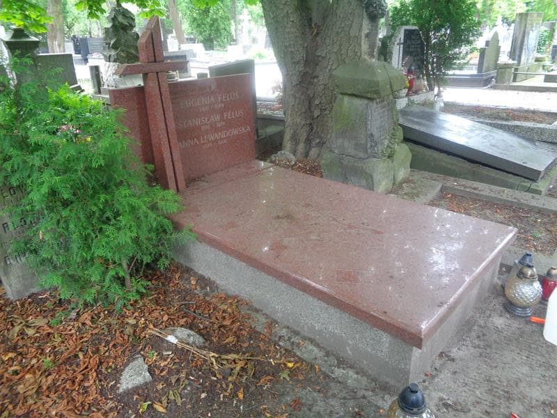 Zdjęcie grobu: Hanna Lewandowska