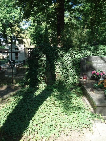 Zdjęcie grobu: Marja Maciejewska