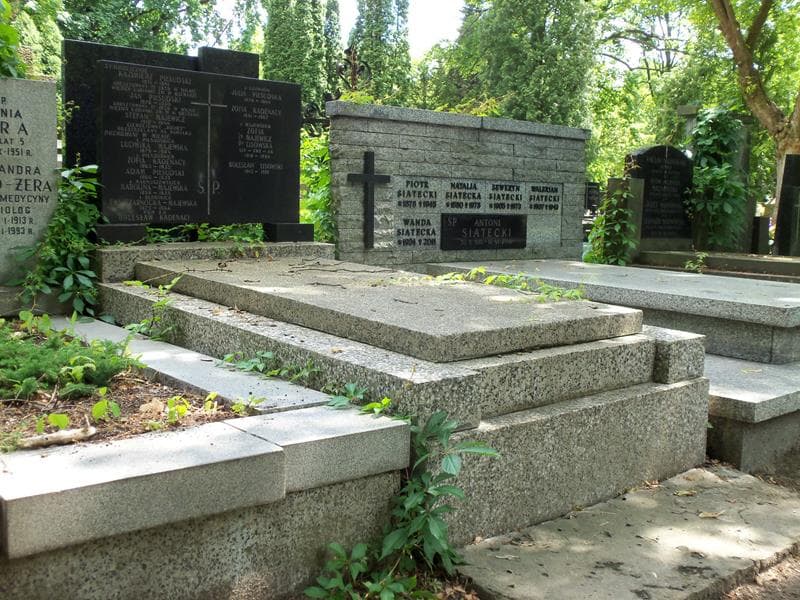 Zdjęcie grobu Ludwika Majewska (1)