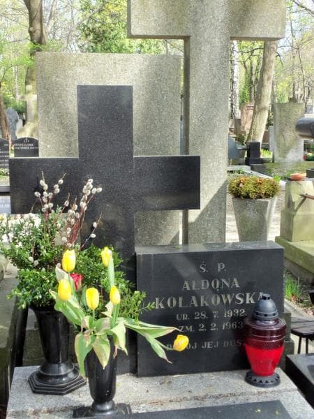 Zdjęcie grobu Stefan Kołakowski (2)