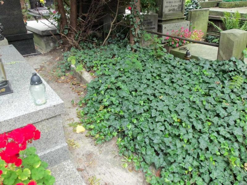 Zdjęcie grobu Maryanna Bruder (1)