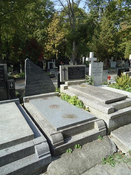 Zdjęcie grobu Marek Zawisza Dąbrowski (1)