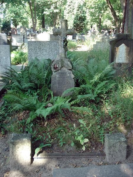 Zdjęcie grobu: Franciszka Stolarska