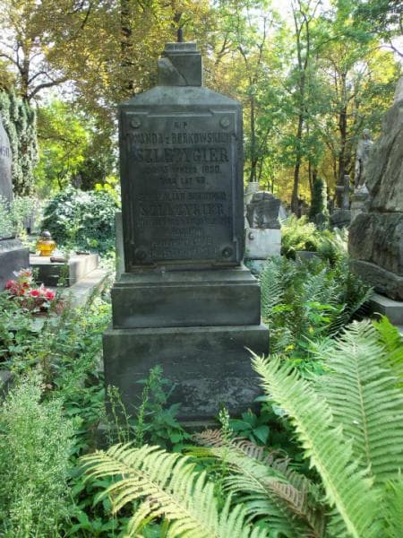 Zdjęcie grobu Salomea Szlezygier (1)
