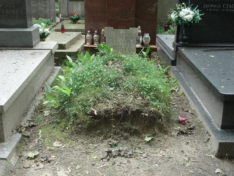 Zdjęcie grobu: Bolesław Ptaszyński