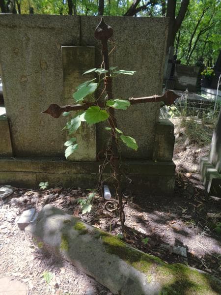 Zdjęcie grobu Anonim (2)