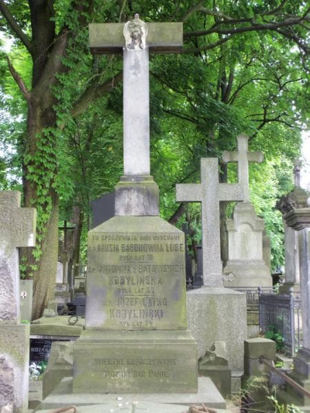 Zdjęcie grobu Antonina Kobylińska (2)