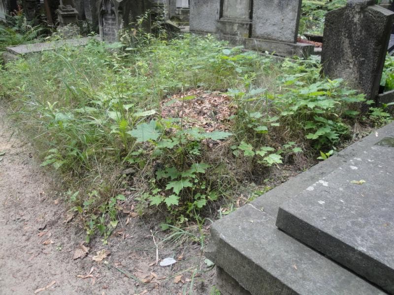 Zdjęcie grobu Pole Grobowe (1)