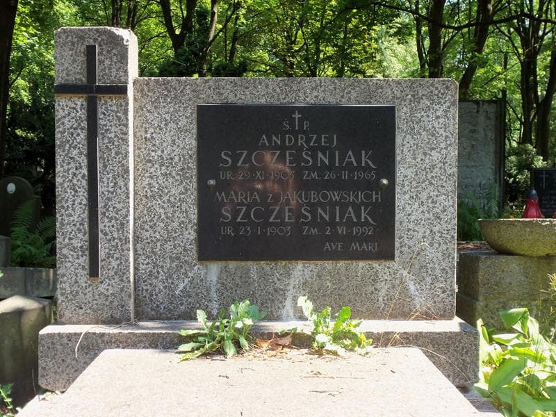 Zdjęcie grobu Andrzej Szcześniak (2)