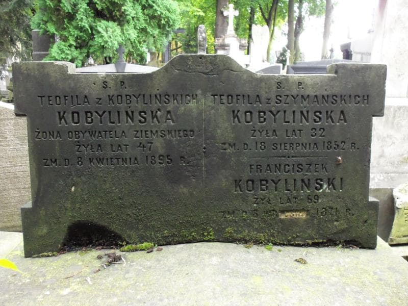 Zdjęcie grobu Franciszek Kobyliński (2)