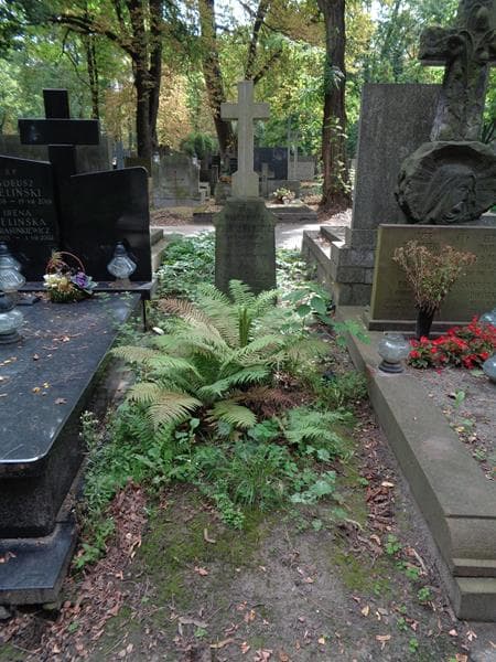 Zdjęcie grobu Maria Tiachow (1)