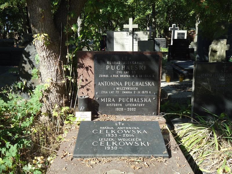 Zdjęcie grobu Maria Antonina Celkowska (2)