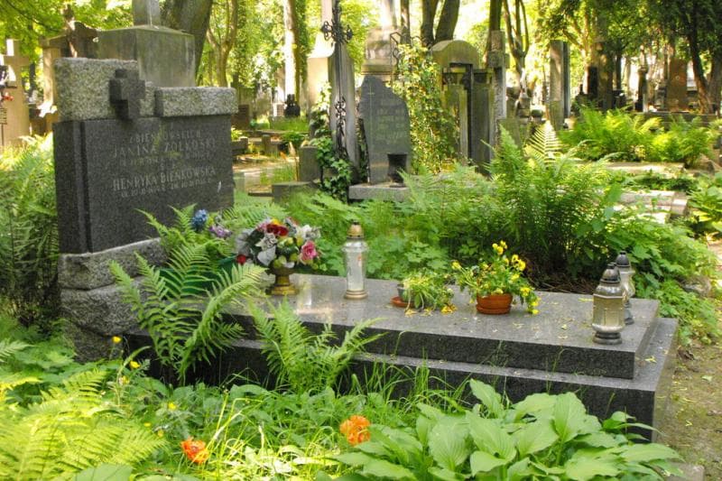 Zdjęcie grobu Henryka Bieńkowska (2)
