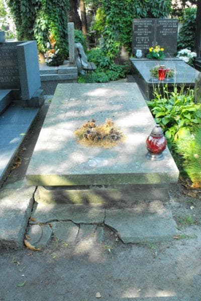 Zdjęcie grobu: Emilia Pietrzak