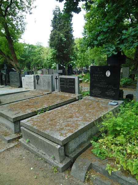 Zdjęcie grobu Stefan Kwaśniak (1)
