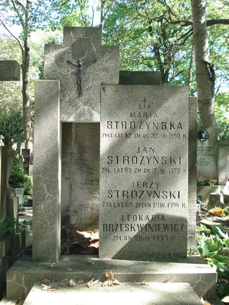 Zdjęcie grobu Jan Stróżyński (2)