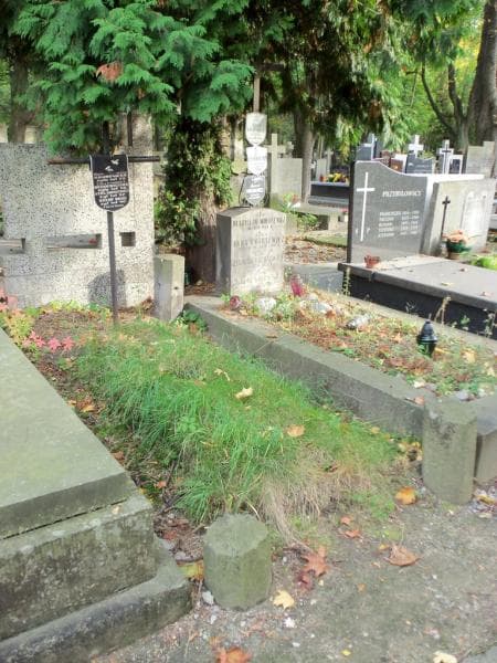 Zdjęcie grobu Zofia Budkiewiczowa (1)