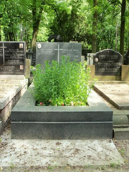 Zdjęcie grobu: Jan Łukasz Kuliński