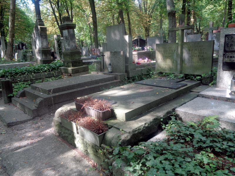 Zdjęcie grobu: Stanisława Szmidt