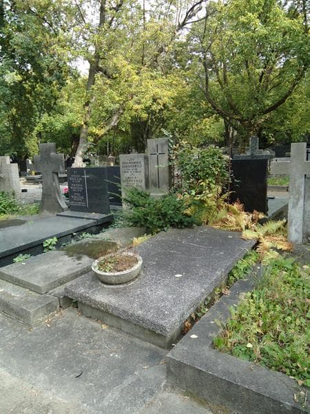 Zdjęcie grobu Władysław Brokman (1)