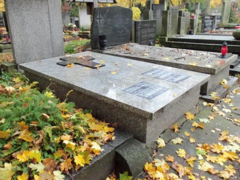 Zdjęcie grobu Wacław Zawistowski (1)
