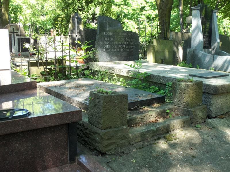 Zdjęcie grobu Józef Lis (1)
