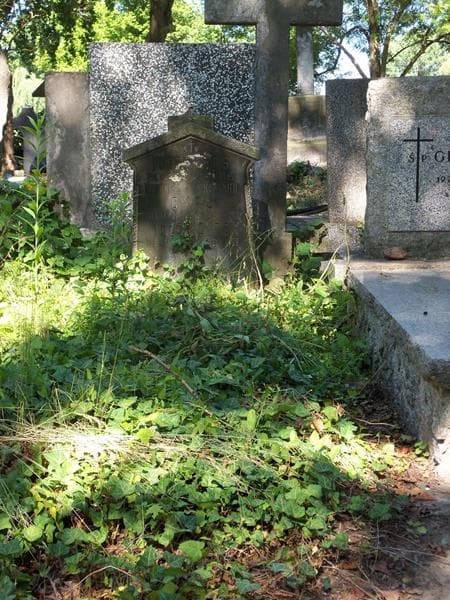 Zdjęcie grobu: Weronika Cyps