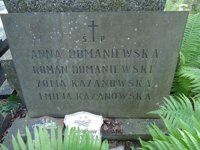 Zdjęcie grobu Roman Domaniewski (2)