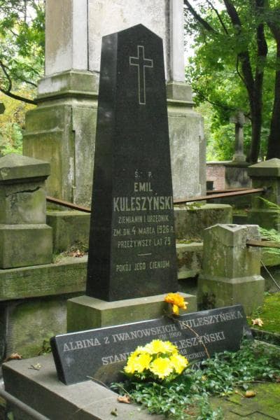 Zdjęcie grobu Albina Kuleszyńska (2)