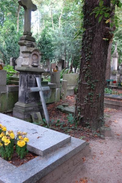 Zdjęcie grobu Stanisław Downarowicz (1)