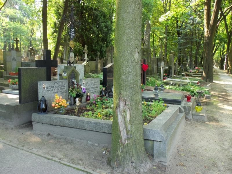 Zdjęcie grobu Tadeusz Błażewicz (1)