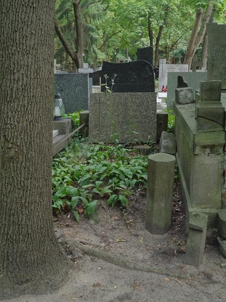 Zdjęcie grobu Józef Kwieciński (1)