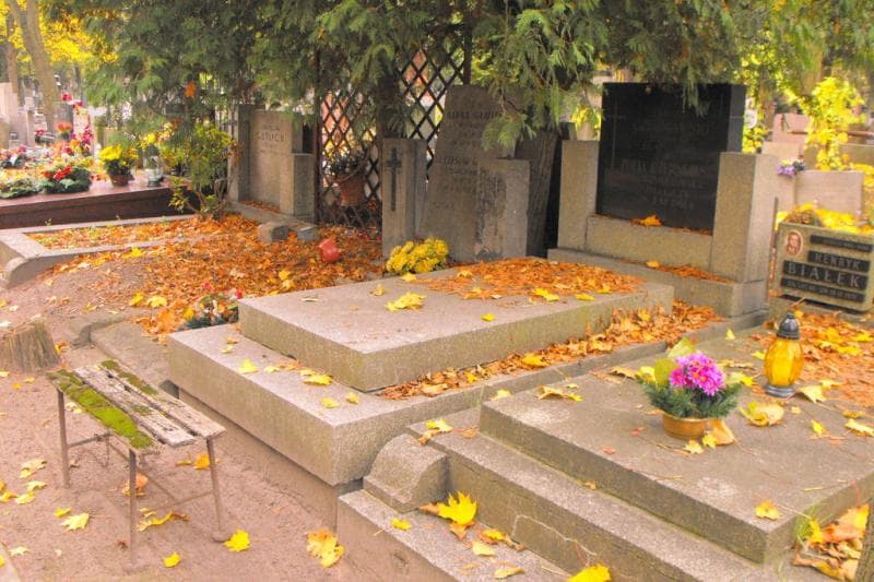 Zdjęcie grobu Zofia Czerniawska (1)