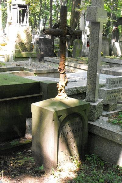 Zdjęcie grobu Stanisław Orłowski (2)