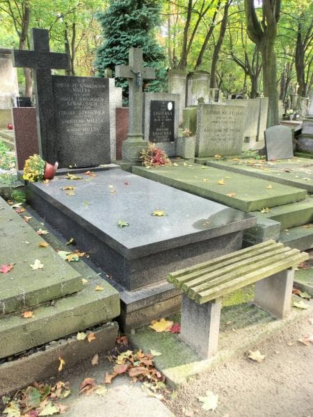 Zdjęcie grobu Aniela Malesa (1)
