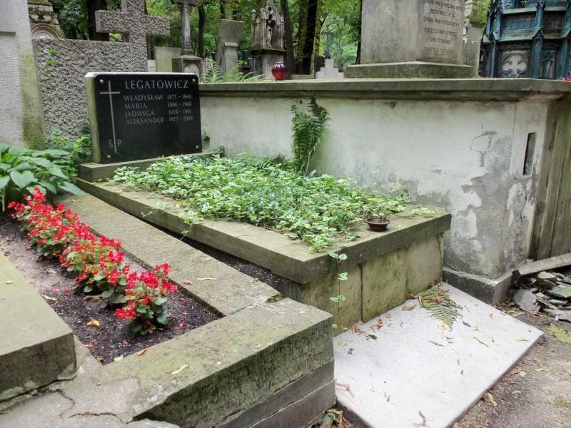 Zdjęcie grobu Aleksander Legatowicz (1)