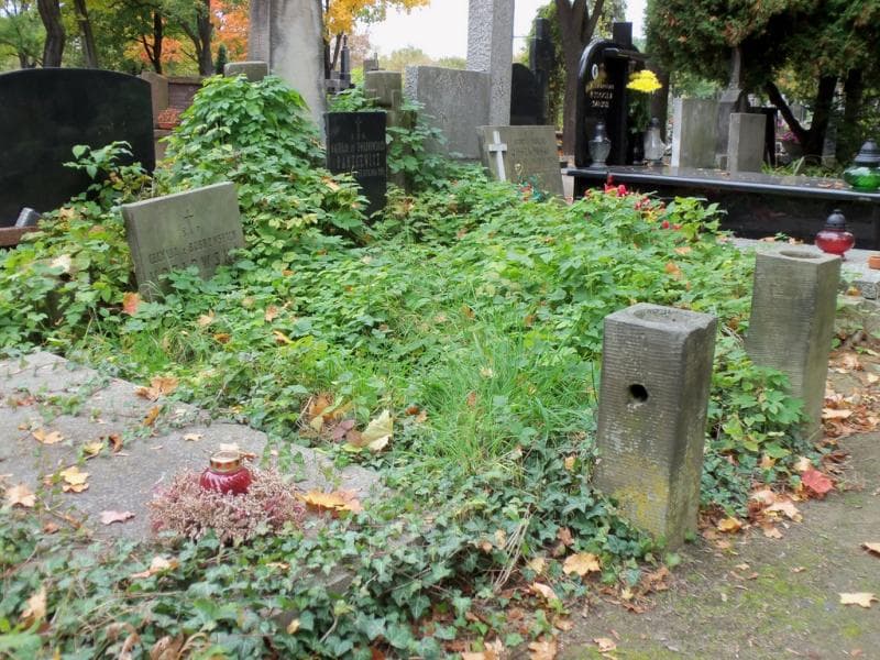 Zdjęcie grobu Cecylja Kozłowska (1)