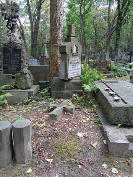 Zdjęcie grobu Antonina Jaskólska (1)