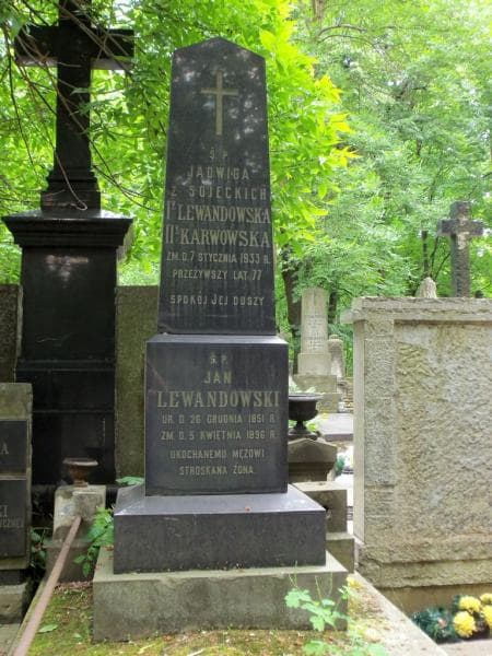 Zdjęcie grobu Jan Lewandowski (2)