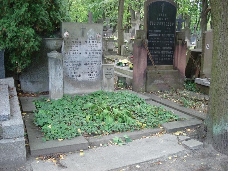 Zdjęcie grobu Henryka Kulesza (1)