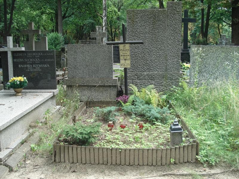 Zdjęcie grobu: Alina Teresa Pokora