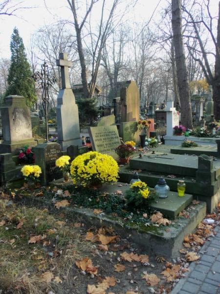 Zdjęcie grobu Andrzej Larski (1)
