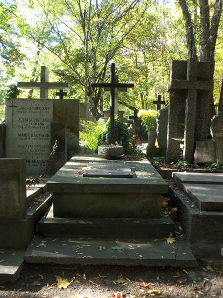 Zdjęcie grobu: Feliks Białowiejski