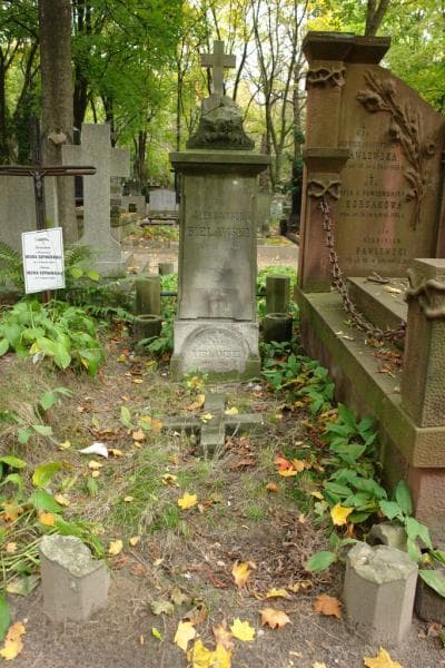 Zdjęcie grobu: Aleksander Bielawski