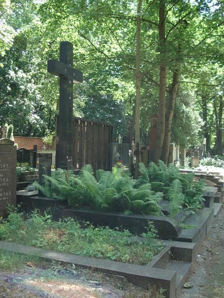 Zdjęcie grobu Eugenia Hornung (1)