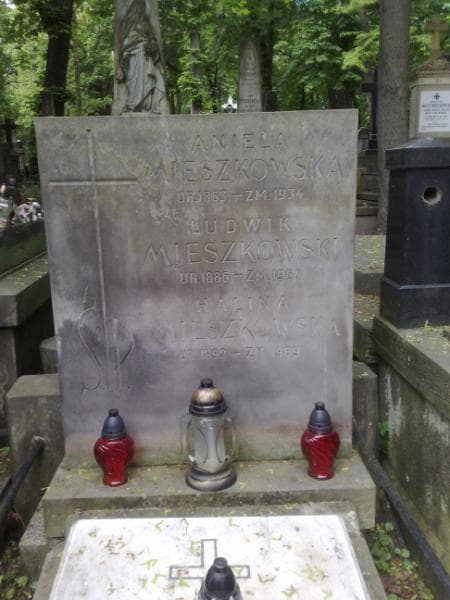 Zdjęcie grobu Ludwik Mieszkowski (1)