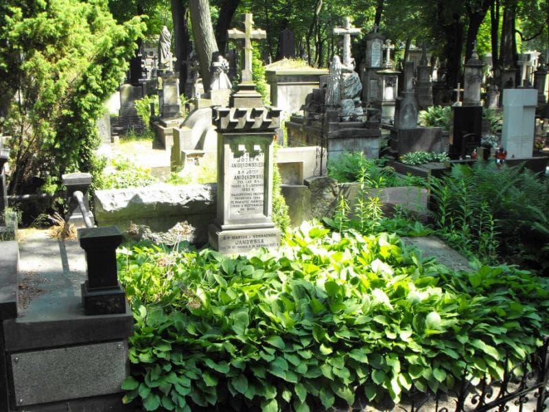 Zdjęcie grobu: Józef Aniołkowski