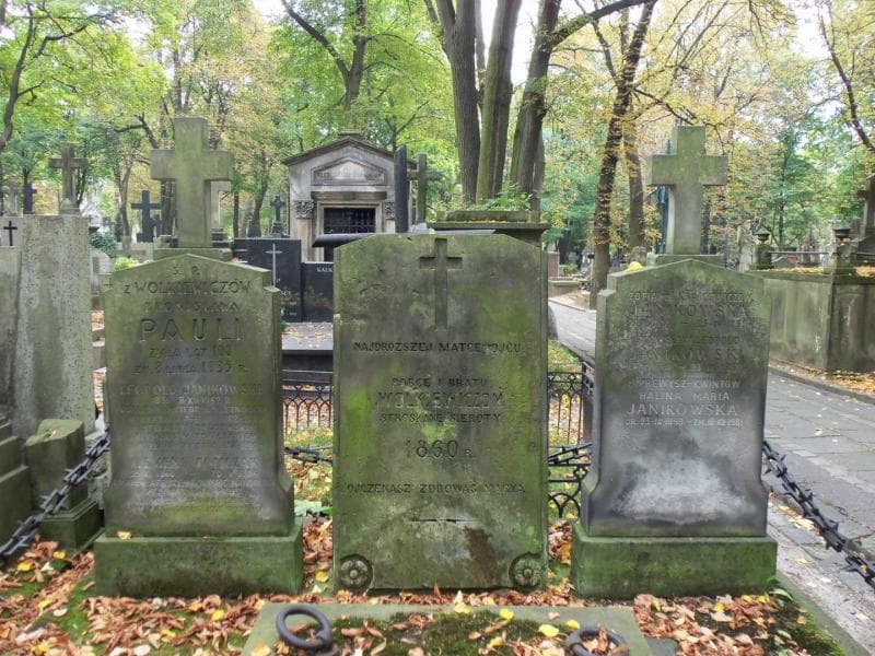 Zdjęcie grobu Leopold Janikowski (2)